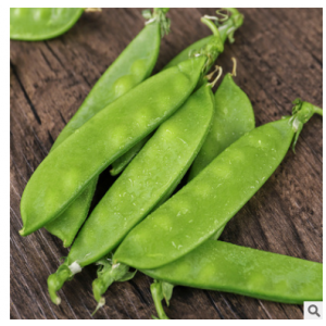 5斤包邮新鲜现摘甜脆青豆荚蔬菜荷兰豆净重豌豆角吃货四季豆预售