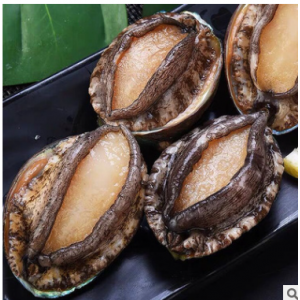 福建南阳岛新鲜活鲍鱼批发水产贝类6头-15头海鲜水产500g大个鲍鱼 举报 本产品采购属于商业贸易行为